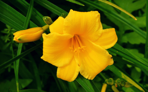 1196797 (a): :2560x1600
